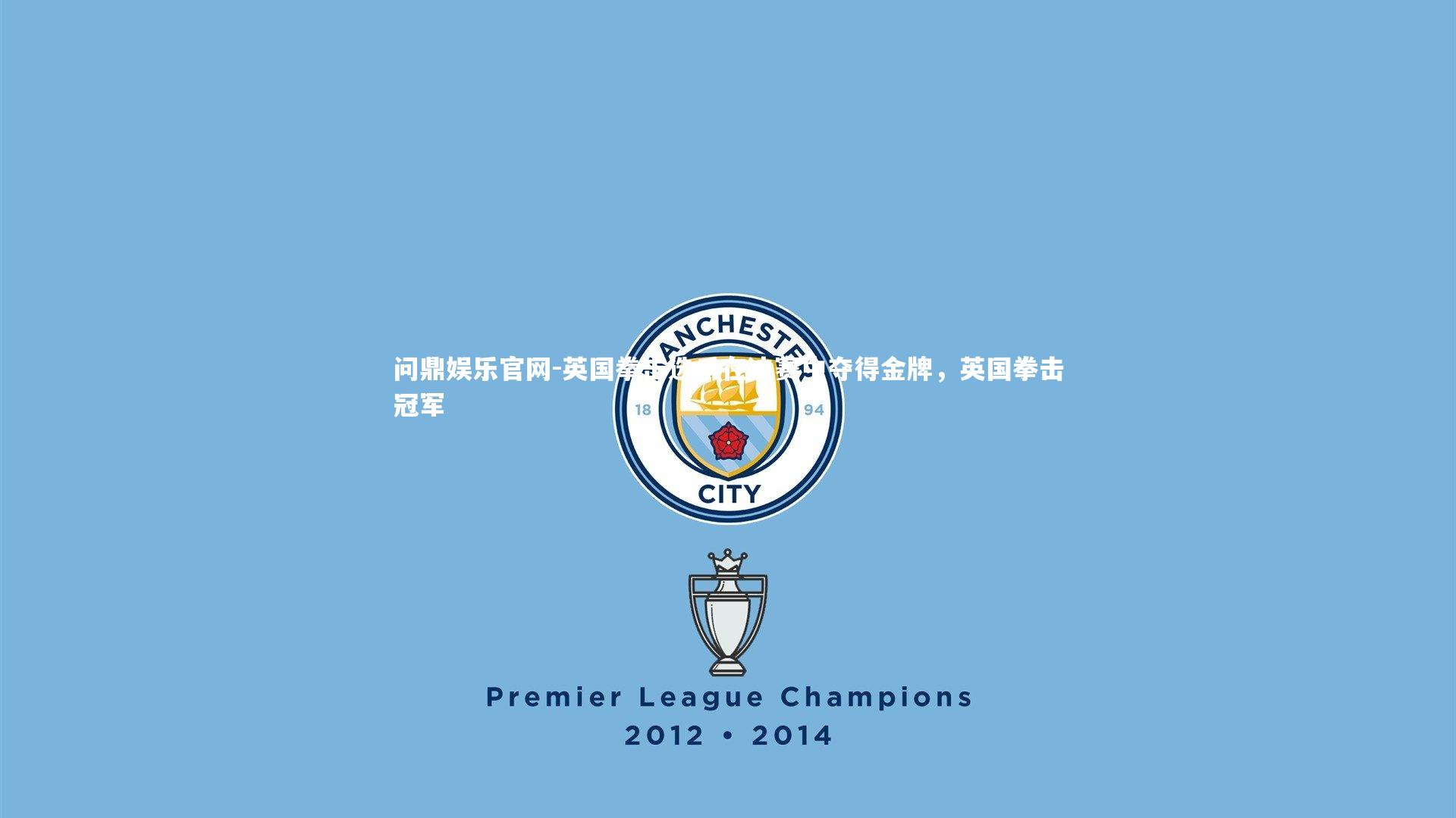 英国拳击选手在决赛中夺得金牌，英国拳击冠军