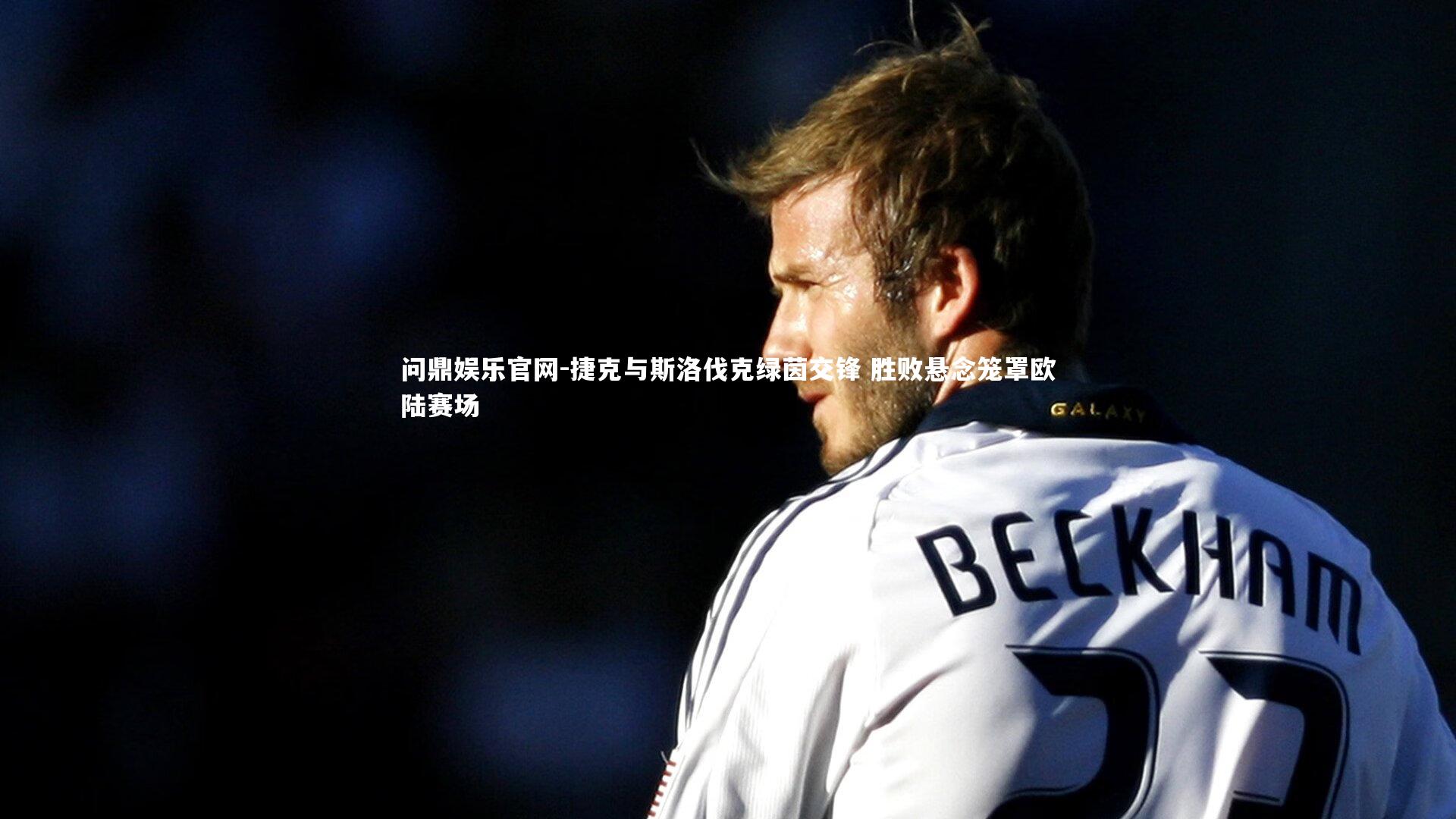 捷克与斯洛伐克绿茵交锋 胜败悬念笼罩欧陆赛场